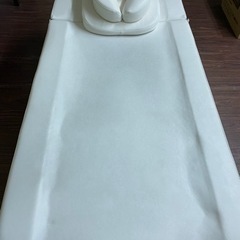 エステ、整骨院ベッドの画像