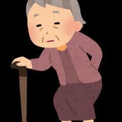 杖