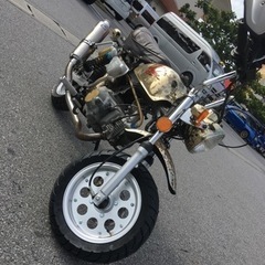 モンキーゴールド6v 1984年式カスタム ツーオーナー車