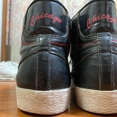 (取引中)NIKE スニーカー　29cmの画像