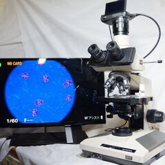 オリンパス 生物顕微鏡（簡易偏光機能） BH-2、ミラーレス・デ...