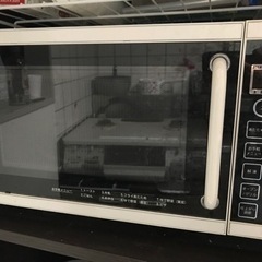 2009年製電子レンジ　TWINBIRD