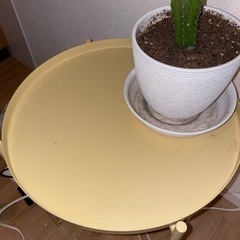 <予定者決定>IKEAの黄色テーブルの画像