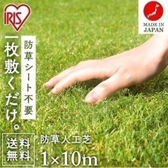 引き取り先決まりました☆人工芝1m×10m 30mm ☆U字ピン付き