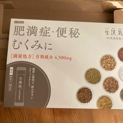 生漢煎　ダイエット漢方　郵送可能