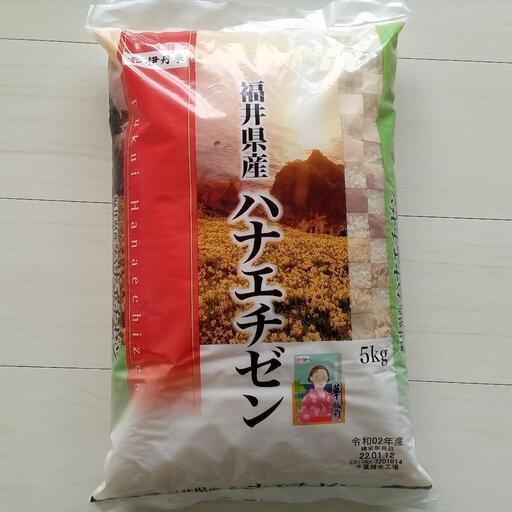 福井産 ハナエチゼン 5kg