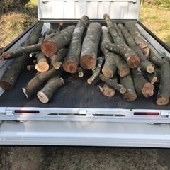 軽トラ1杯分！　樫の木　薪の材料にの画像