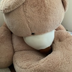 コストコ2m巨大クマ！