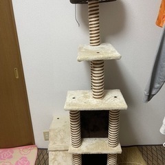キャットタワー