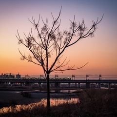 カメラ友達募集📷🙋🏻‍♀️ - 友達