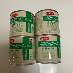 カロリーエース 猫
