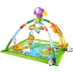 フィッシャープライス　プレイジム　ベビージム　レインフォレスト ...