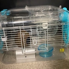 しんさん専用　　マウスやハムスター、小さな爬虫類等の飼育ゲージ　値下げしました Amazon | iimono117 ハムスター ケージ 大きい [ 幅57.5 奥行