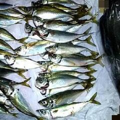 釣りや自然遊びで食卓を少しだけ楽しく豪華にしてみませんか？　　2月下旬開催☆ - 台東区