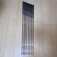 ダイナミックゴールドDynamicGoldEXTourIssueX100の画像