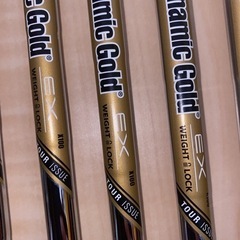 ダイナミックゴールドDynamicGoldEXTourIssueX100の画像