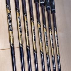 ダイナミックゴールドDynamicGoldEXTourIssueX100の画像