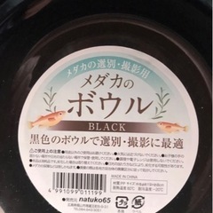 めだか　メダカ　ボウル 　新品 2個
