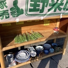 採れたて島インゲン豆100円　食器All50円！