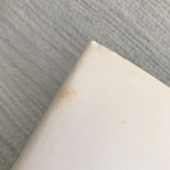 激レア‼️2冊‼️【英語】スヌーピー⭐︎チャーリーブラウン⭐︎古本 インテリアの画像