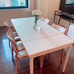 alflexアルフレックス チェア4脚とダイニンテーブルセット