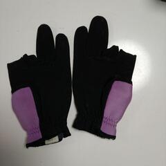 ダイワ グローブの画像