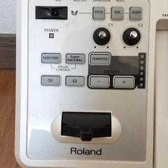 【ジャンク品】Roland A-49 WH
49鍵 MIDIキーボードの画像