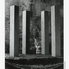 上野昌子写真展　CAT THEATER