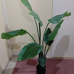 フェイクグリーン 130