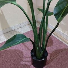 フェイクグリーン 130の画像