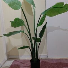 フェイクグリーン 130の画像