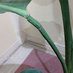 フェイクグリーン 130の画像