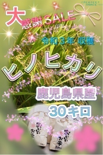 ⭐️新米 ヒノヒカリ⭐️大感謝SALE⭐️期間限定⭐️⑴