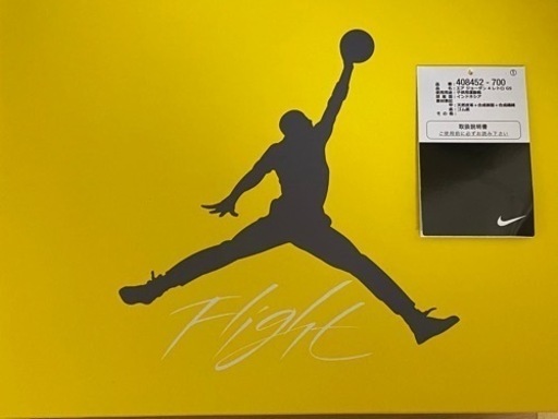 NIKE AIRJORDAN4 touryellow