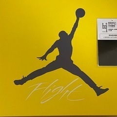 NIKE AIRJORDAN4 touryellowの画像