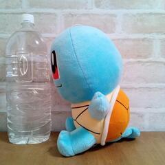 ポケモン【ゼニガメ】の画像