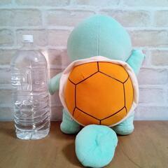 ポケモン【ゼニガメ】グリーンの画像