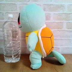 ポケモン【ゼニガメ】グリーンの画像