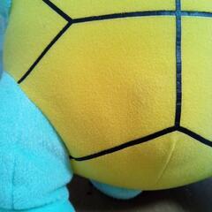 ポケモン【ゼニガメ】グリーンの画像