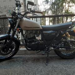 スズキグラストラッカー250
