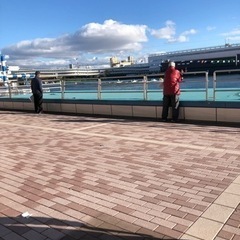 競艇場仲間募集