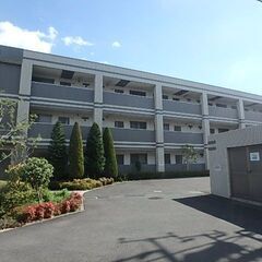 【ピンポンマム壱番館　207号室】契約金18万円でご契約可能です♪宅配ボックス有り♪の画像