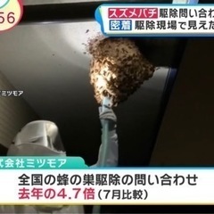 生活救急サービス事務仕事、アシスタント等の画像