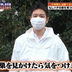 生活救急サービス事務仕事、アシスタント等の画像