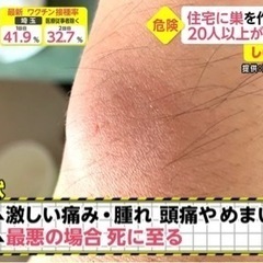 生活救急サービス事務仕事、アシスタント等の画像