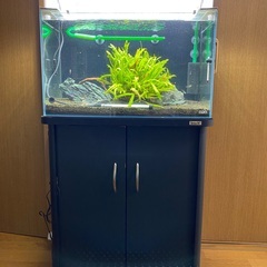 ADA 60cm水槽・ADA LED照明　まとめ売り