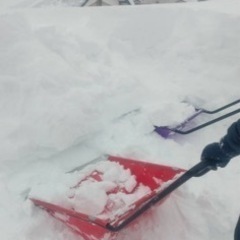 便利隊始めました！ - 山形市