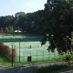 2/15　印西市松山下公園（オムニ）　硬式テニス　11時～15時...