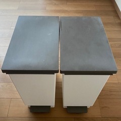 ゴミ箱 45L 2個セット