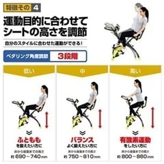 【都内お届け無料】アルインコ(ALINCO) フィットネスバイク コンフォートバイク2 AFB4309GXの画像
